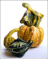 Gourdgy