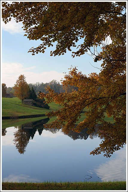 Reflections of Autumn