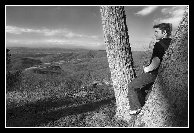 Tree Hugger