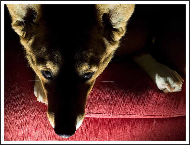 Evil Bailey