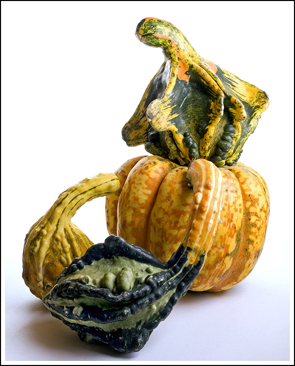 Gourdgy