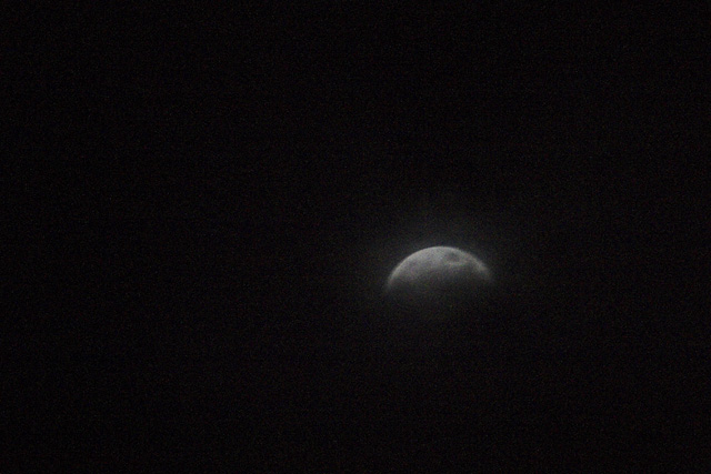 CRW_6507-01.jpg