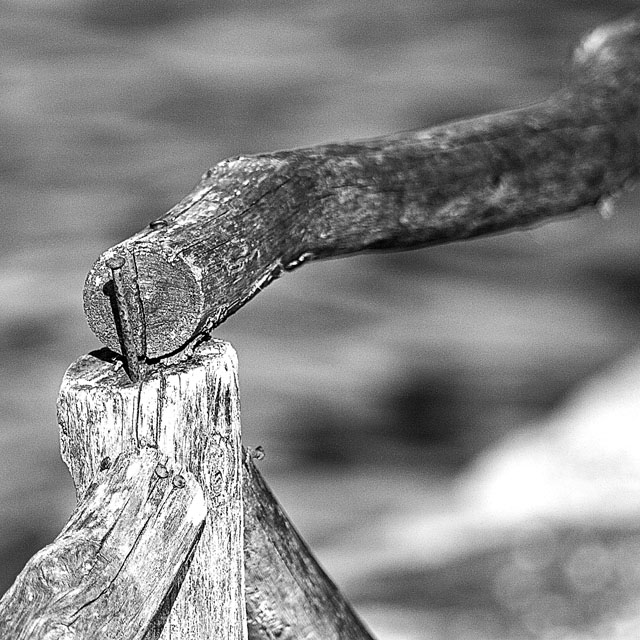 shallow dof outtake