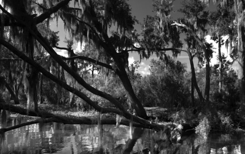 Bayou des Allemands, Louisiana