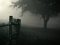 Forlorn