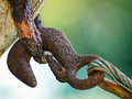 Rust is a must