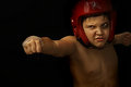 Boxer Entry