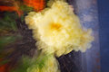 ZoomBlurFlowers