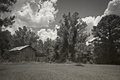 Some country charm