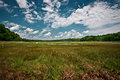 Barn Island