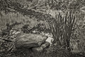Denison Nature Center