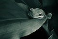 Tucked in (BW)