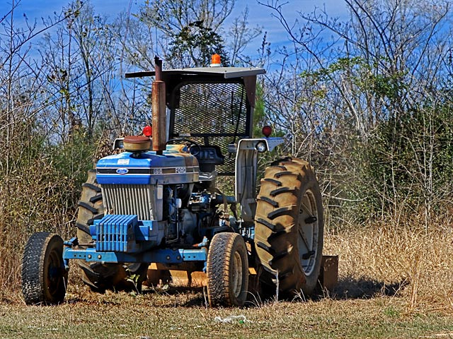 Blue Ford