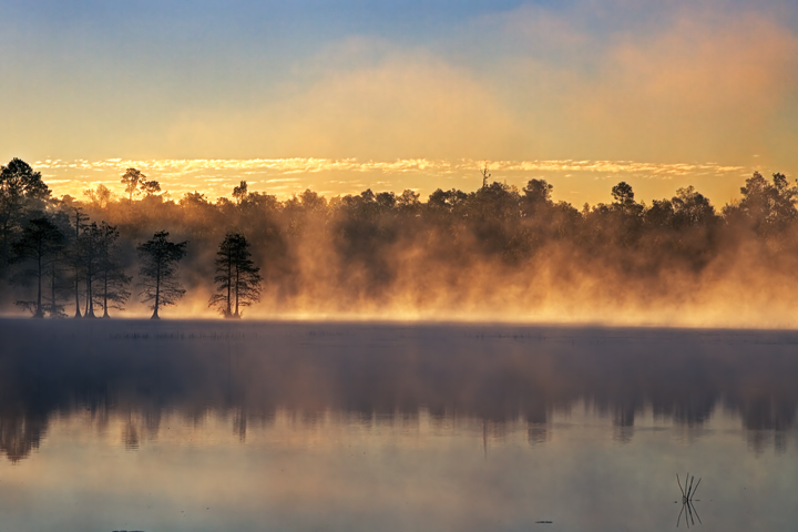 Fog burning on the lake