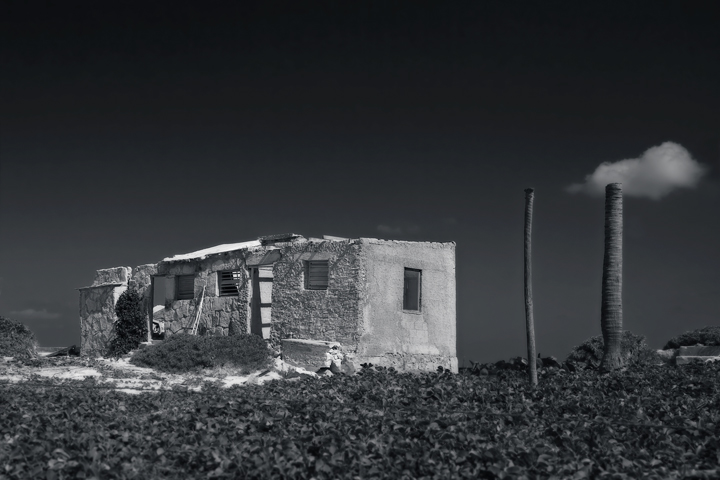 Bleak House