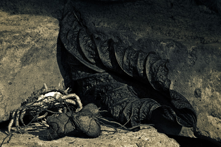 Collecting Dark