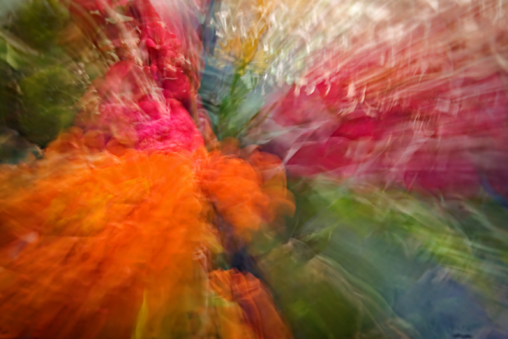 ZoomBlurFlowers