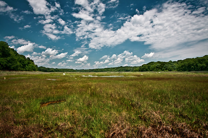Barn Island