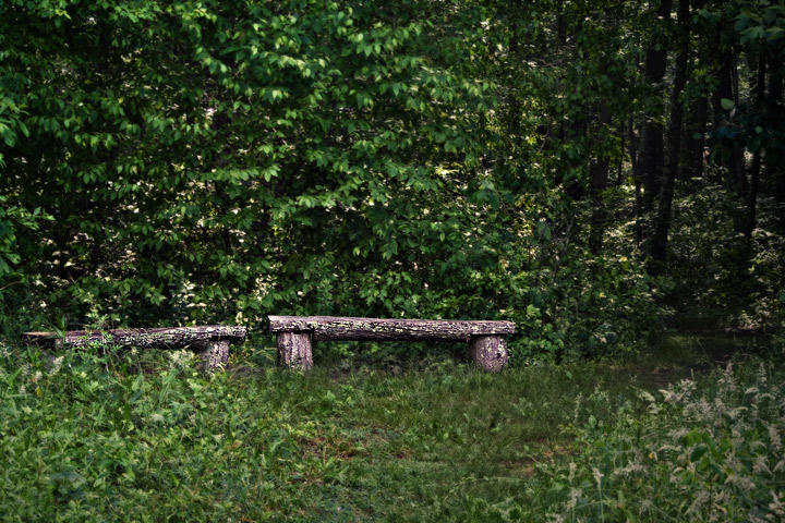 Denison Nature Center