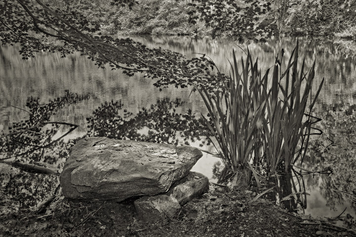 Denison Nature Center