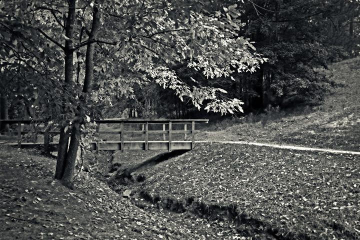 OakMtn
