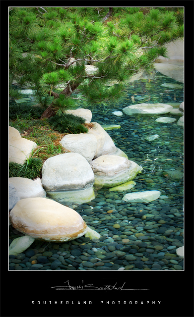 zen pond fixed.jpg