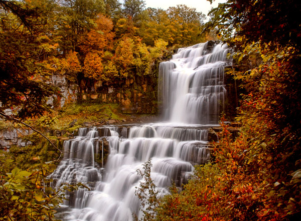 DSC_2190a.jpg