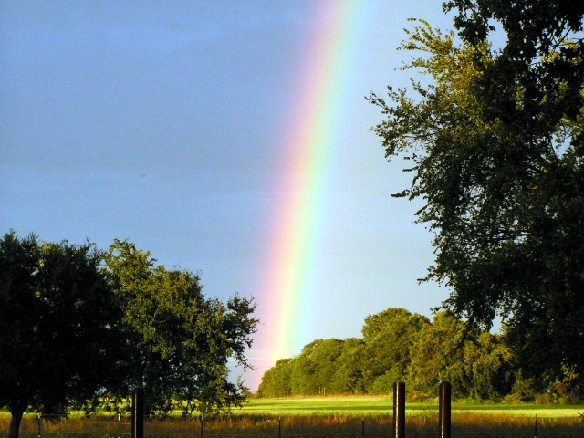 God's Promise