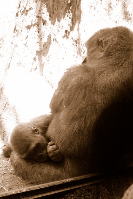Hug me please!