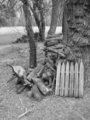 woodpile II