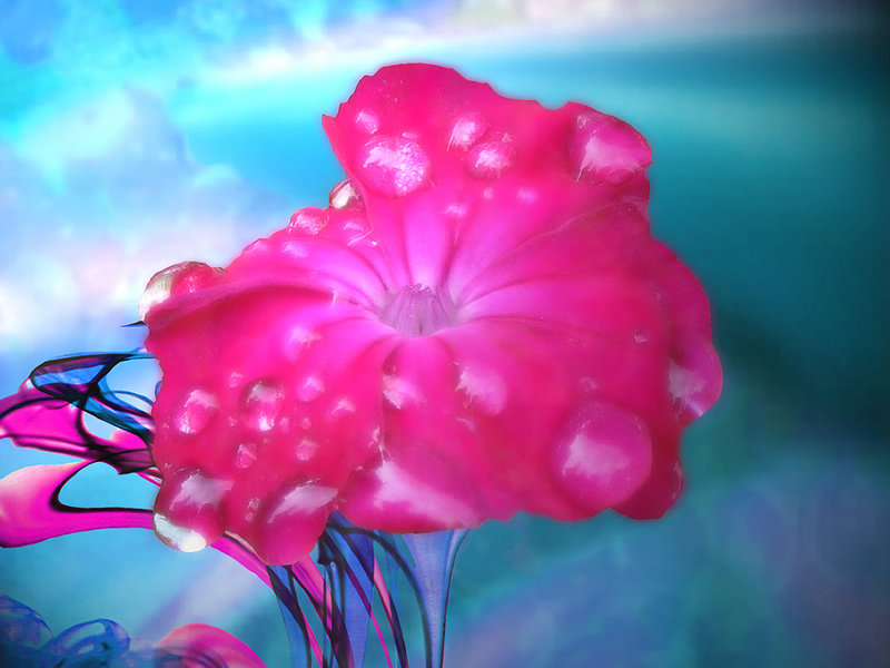 Floral Beauty