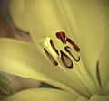 _MG_2824A.jpg