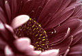 _MG_2845A.jpg