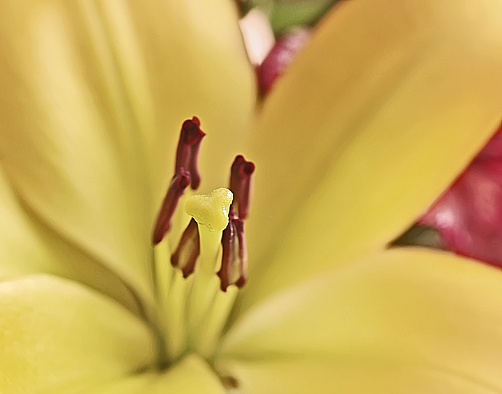_MG_2793A.jpg