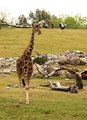 Out for a stroll