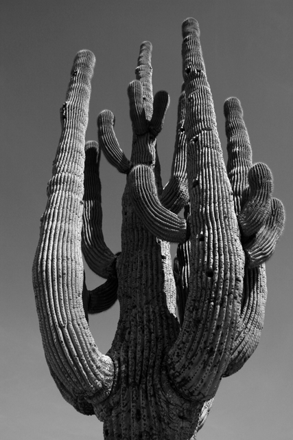 Walkabout4.jpg
