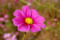 DSC_1210dpc.jpg