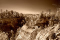 sepia.jpg