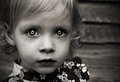 DSC_5204clonecontrastsmall.jpg