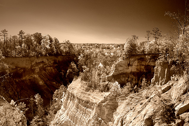 sepia.jpg