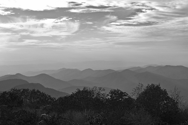 DSC_1281bw1.jpg