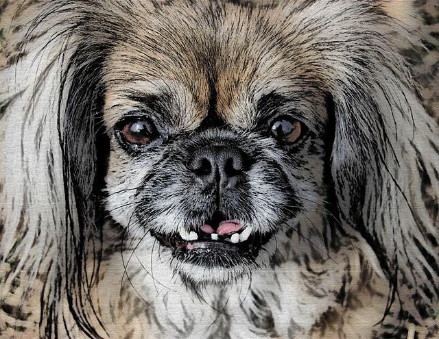 dog painting