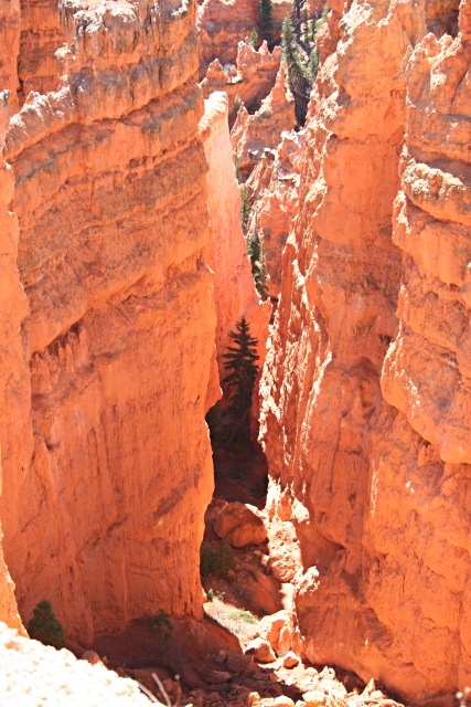 Bryce Canyon