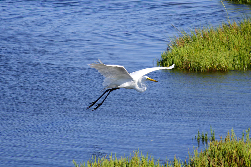 Soaring