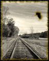 blood on the tracks