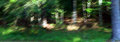 blur day 4