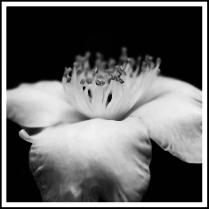 Silent