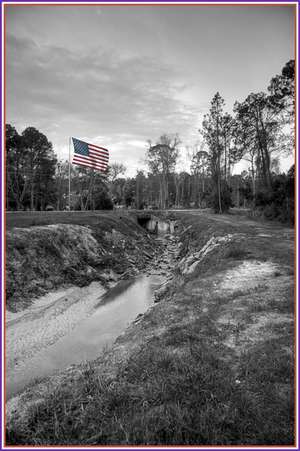 Subtle Americana