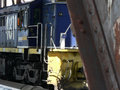 P1020289_2.JPG