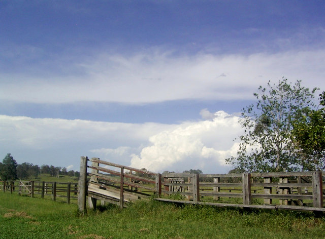 R0015417_2.JPG